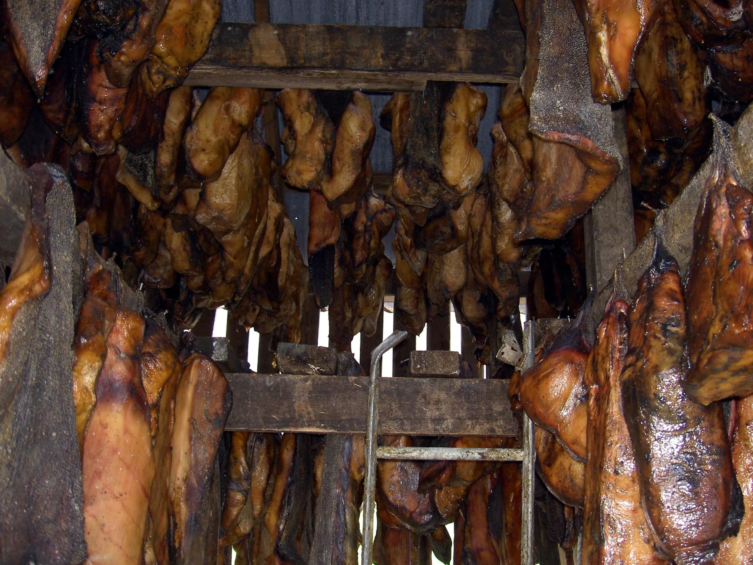Hákarl — traditional Iceland dish