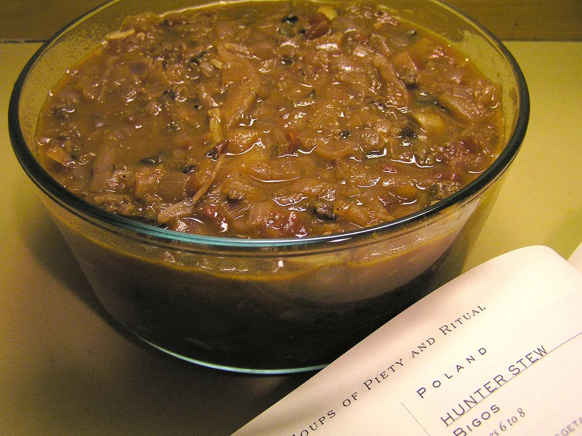 Bigos (Hunter's Stew) — traditional Poland dish