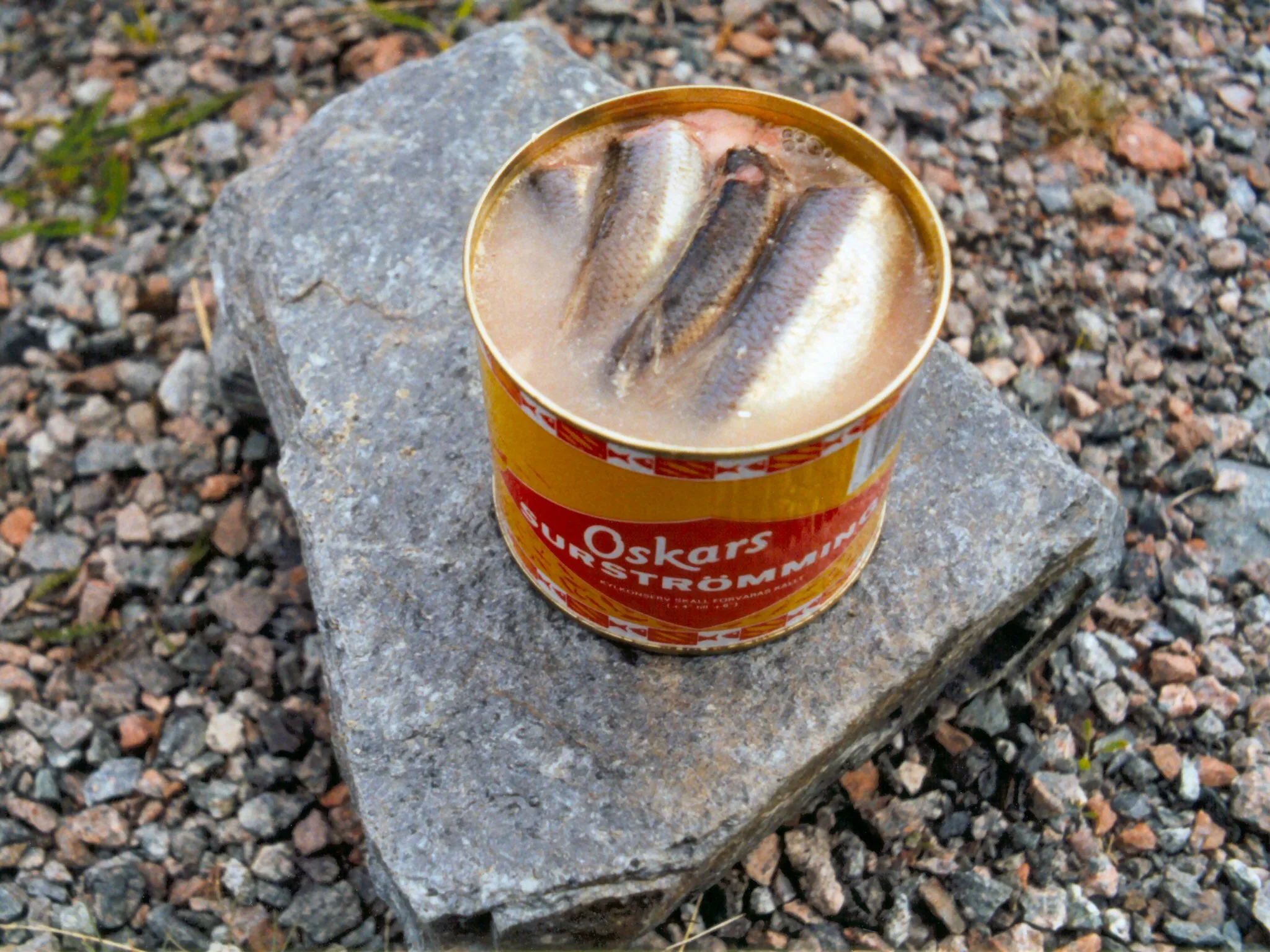 Surströmming — traditional Sweden dish