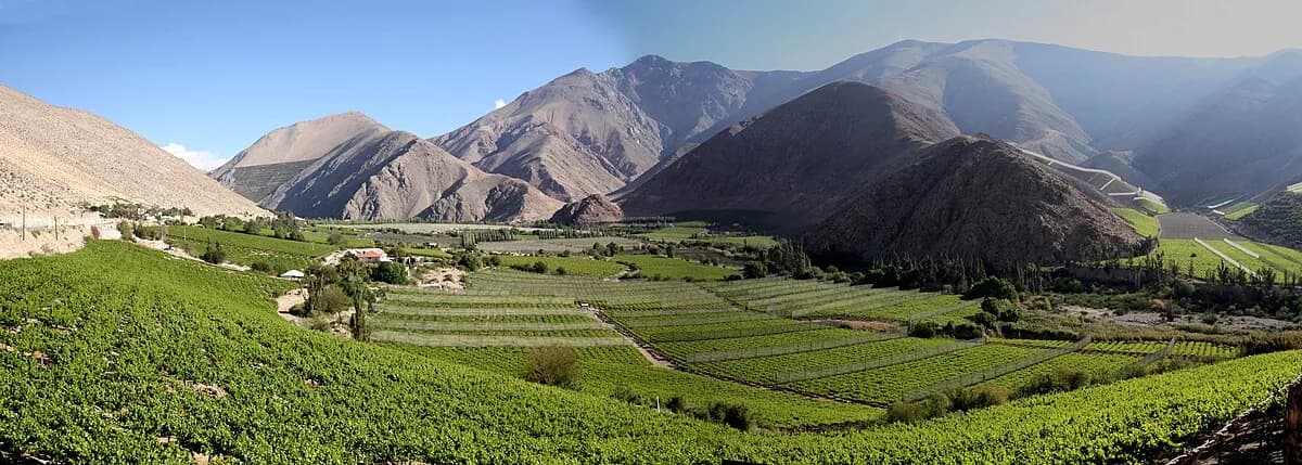 Pisco Elqui in Chile