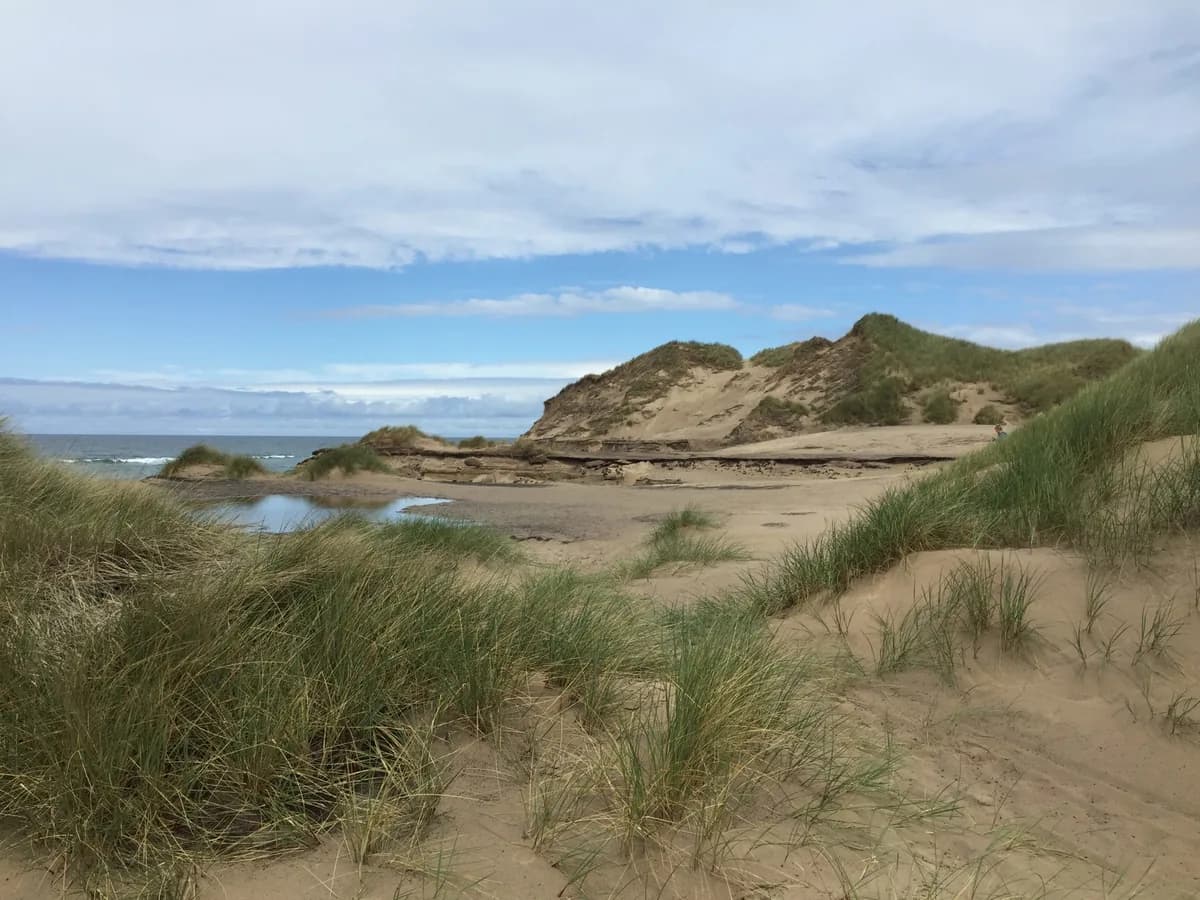 Thy National Park in Denmark