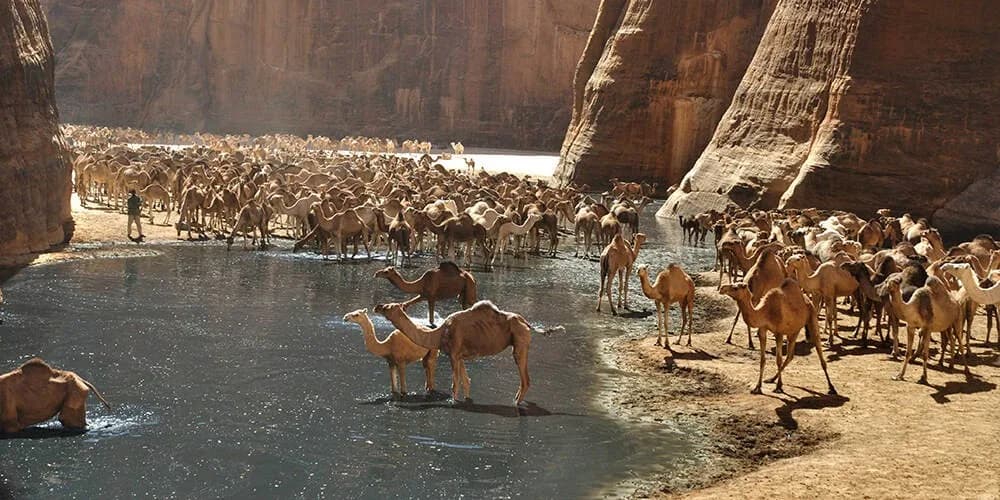 Wadi el-Gemal National Park in Egypt