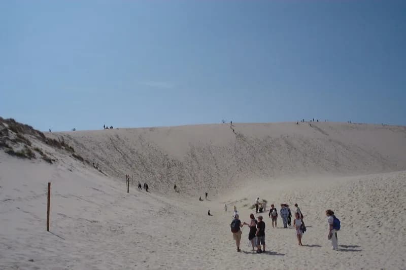 Moving Dunes in Poland