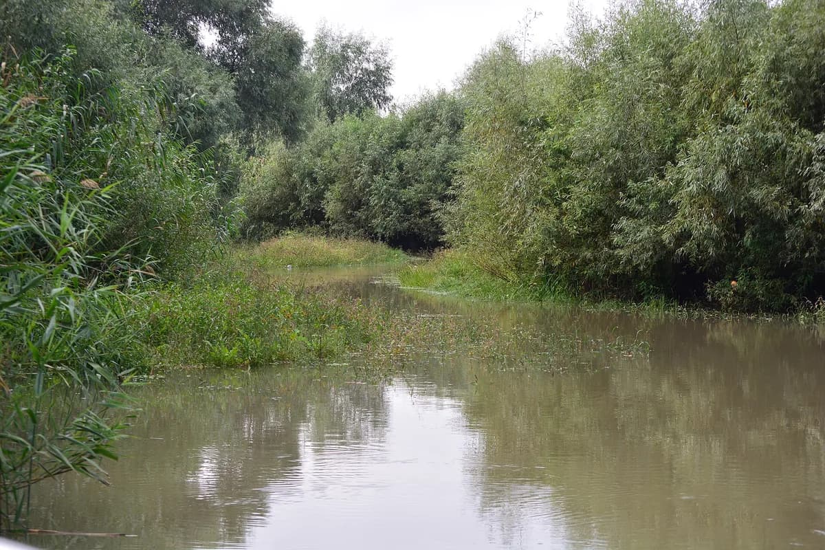 Danube Delta
