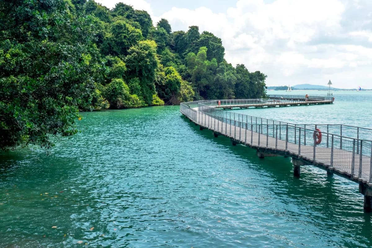 Chek Jawa Wetlands in Singapore