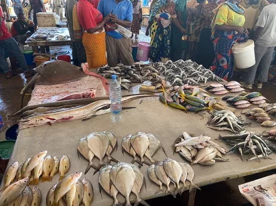 Kivukoni Fish Market in Tanzania