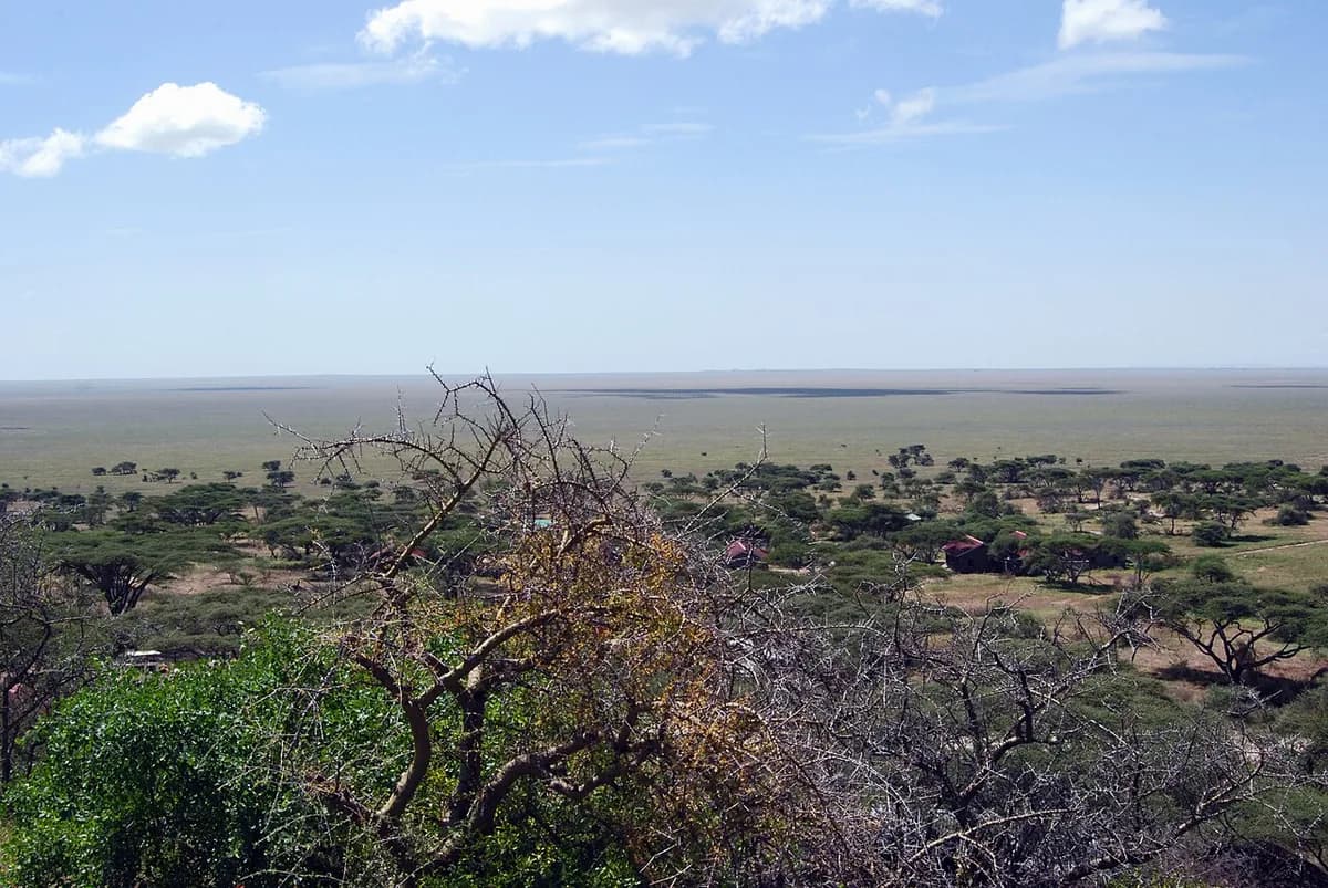 Serengeti