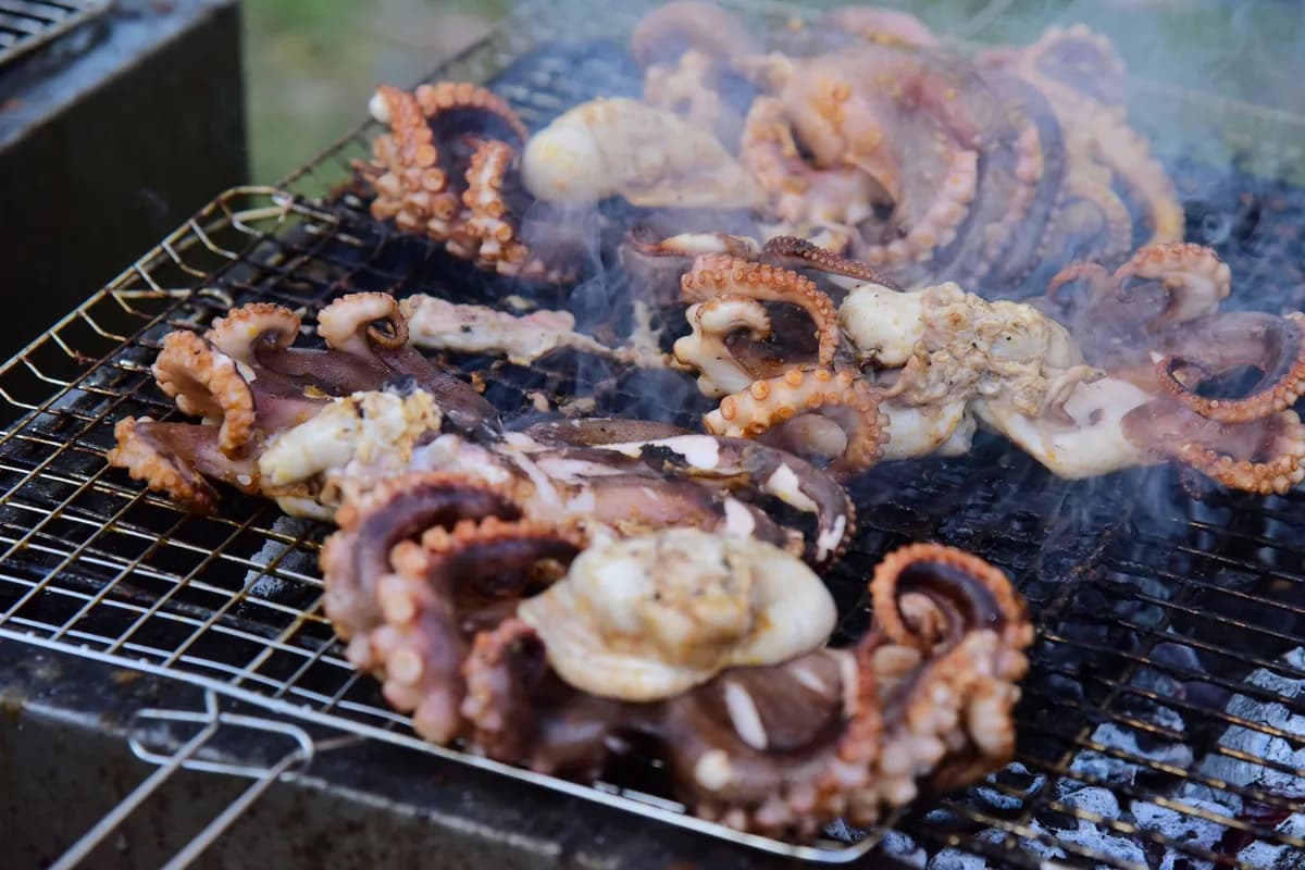Grilled Octopus — traditional Greece dish