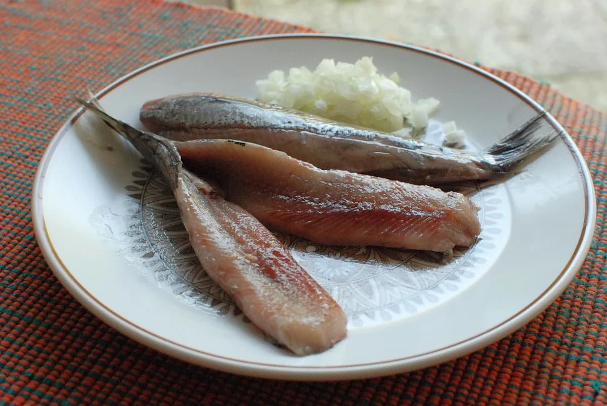 Haring — traditional Netherlands dish