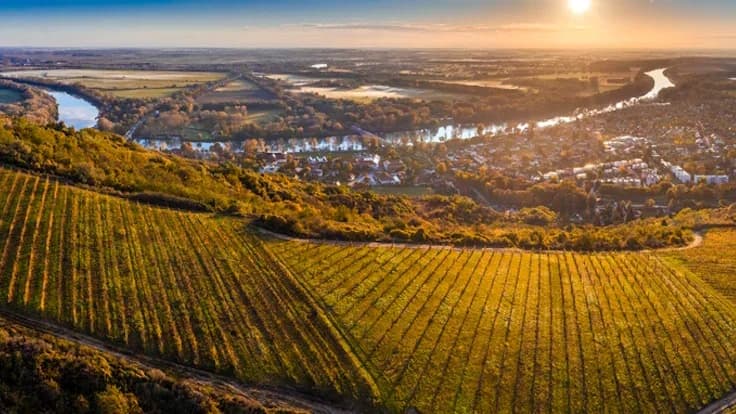 Tokaj Wine Region