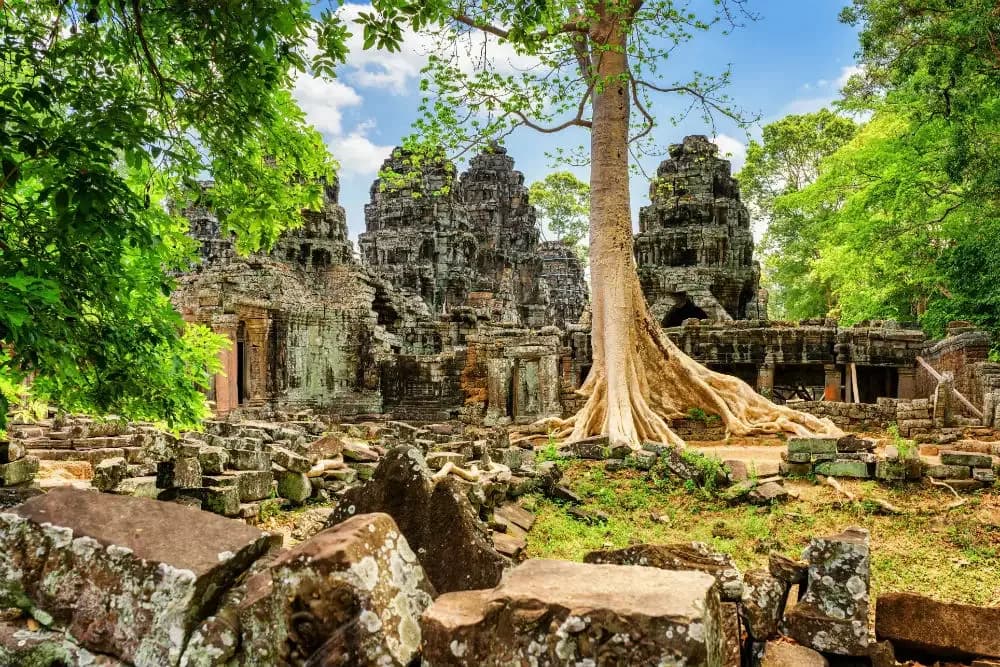 Ta Prohm