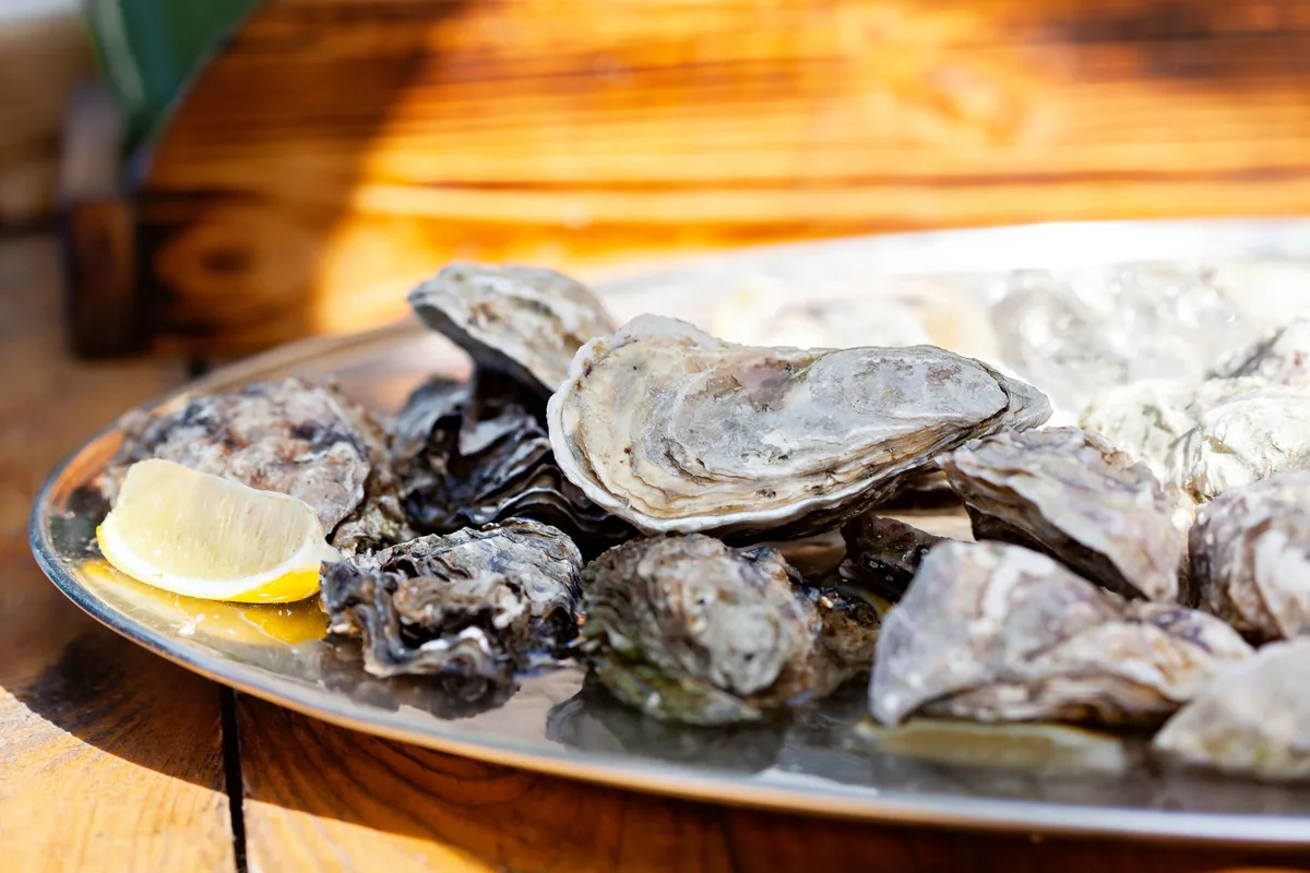 Fresh Atlantic Oysters