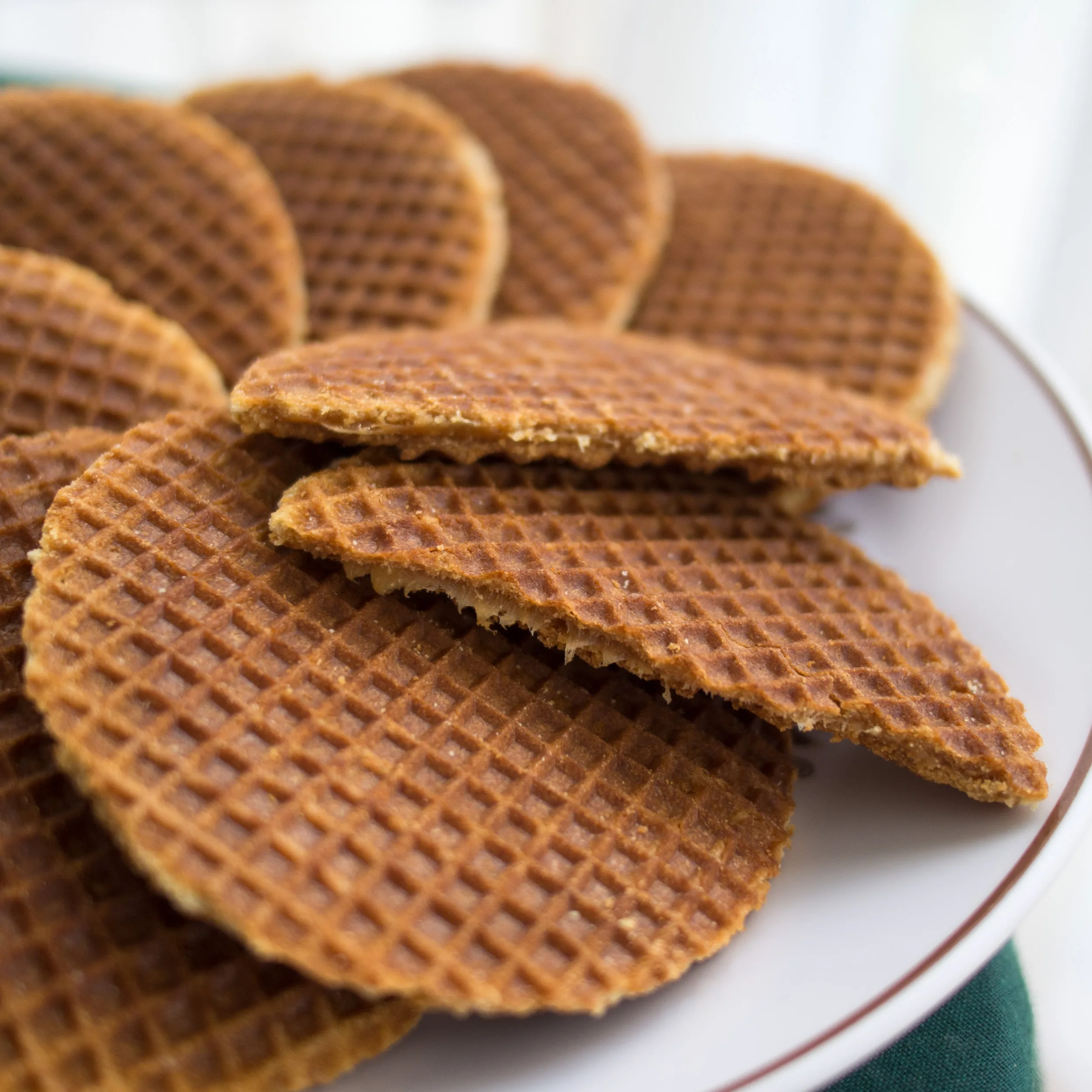 Netherlands Cuisine