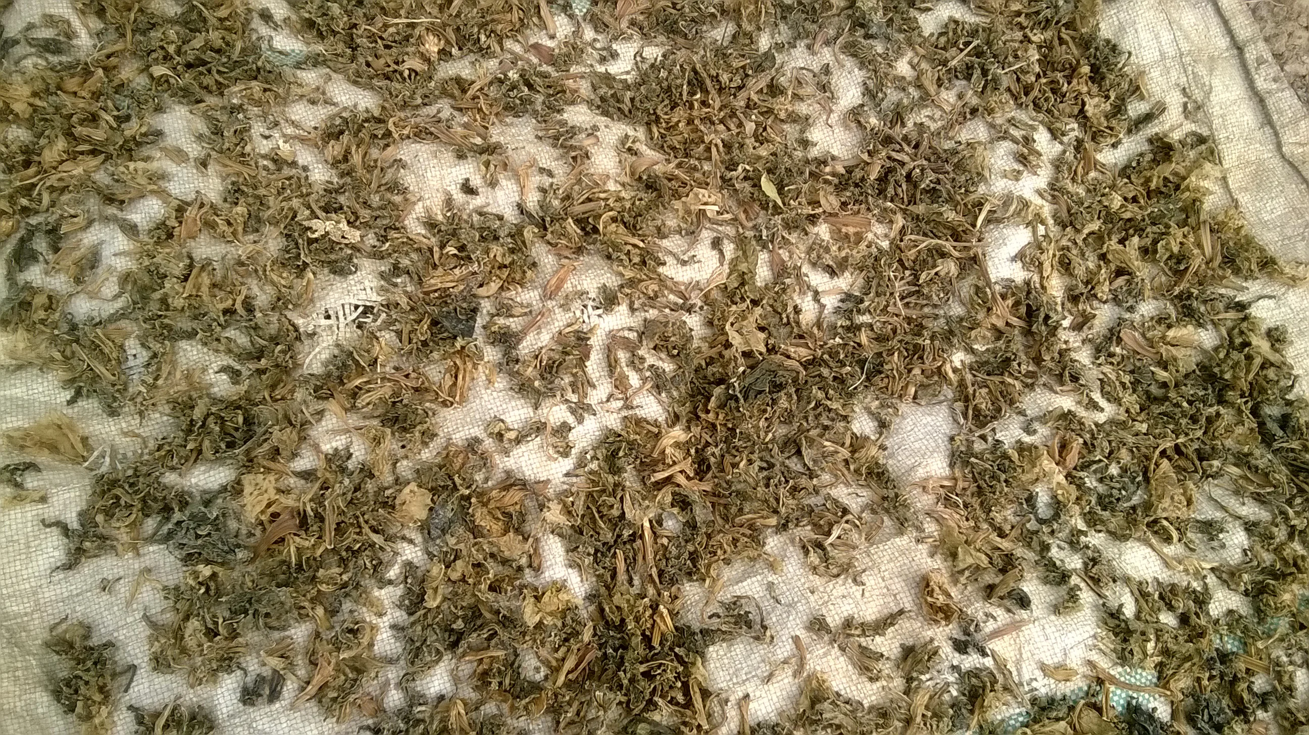 Gundruk — Nepal traditional
