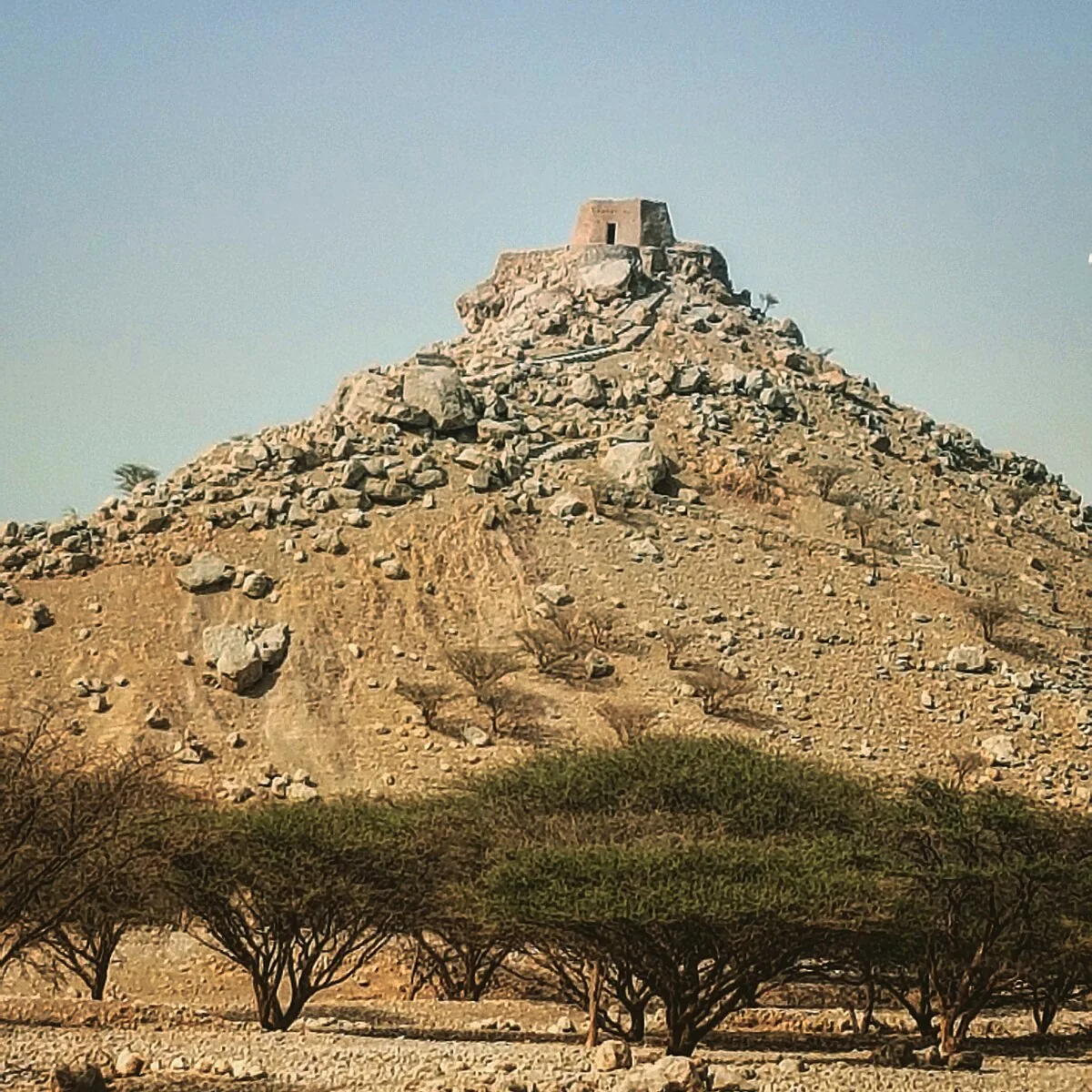 Dhayah Fort