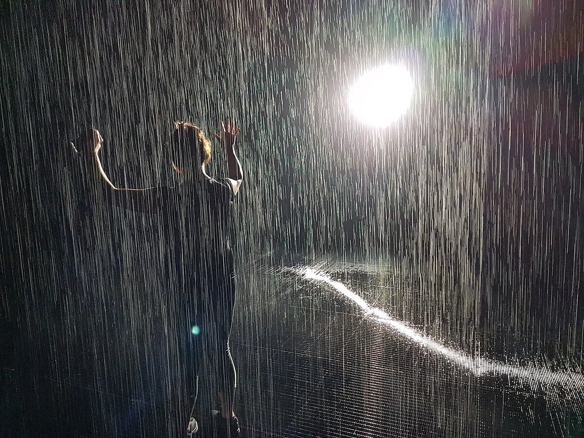 Rain Room