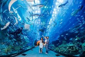 The Dubai Mall Aquarium