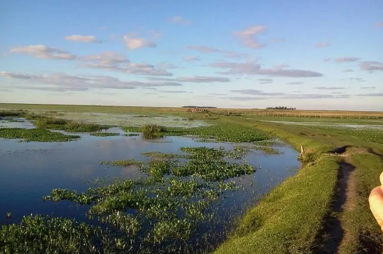 Iberá Wetlands in Argentina — photo 2
