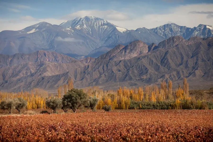 Valle de Uco in Argentina — photo 2