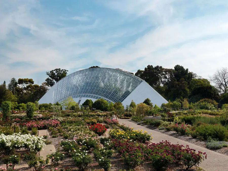 Adelaide Botanic Garden in Australia — photo 2