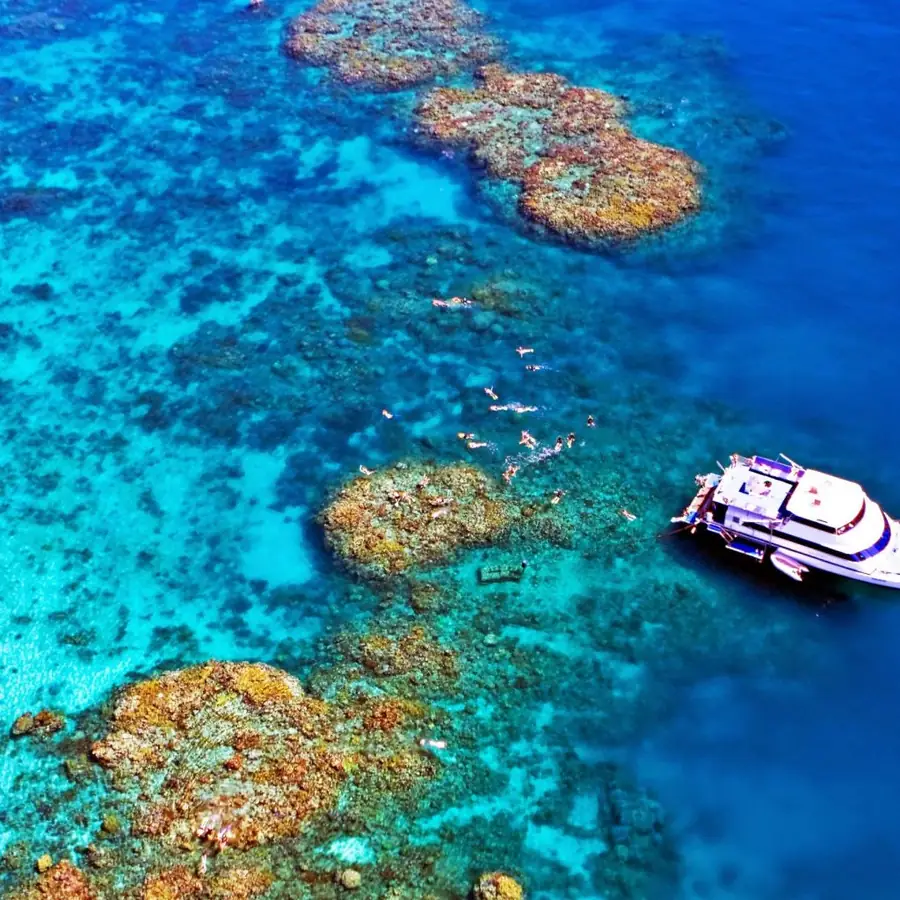 Great Barrier Reef in Australia — photo 3