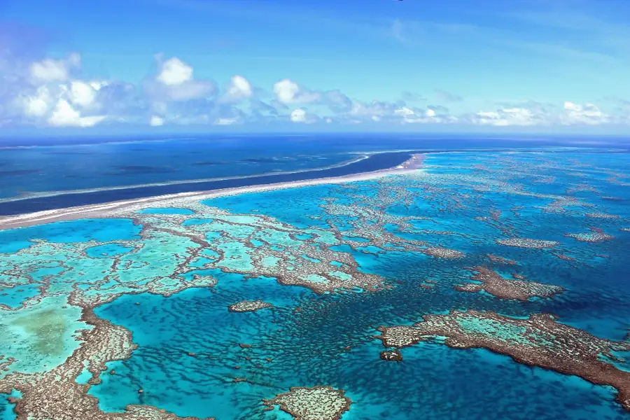 Great Barrier Reef in Australia — photo 4