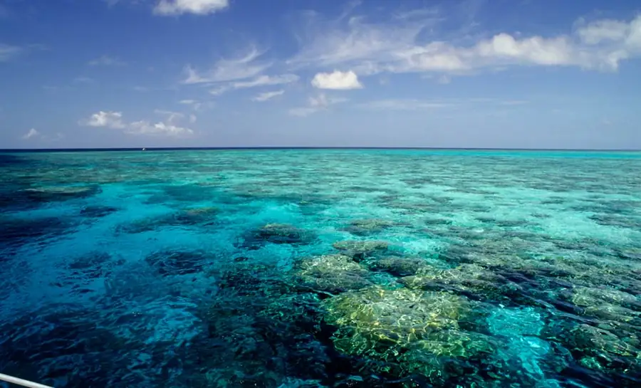 Great Barrier Reef in Australia — photo 5