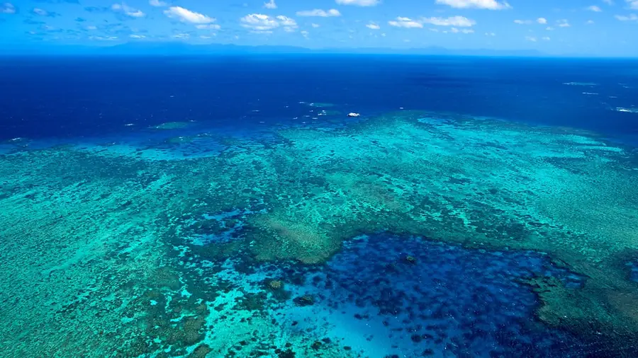 Great Barrier Reef in Australia — photo 6
