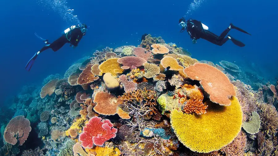 Great Barrier Reef in Australia — photo 7