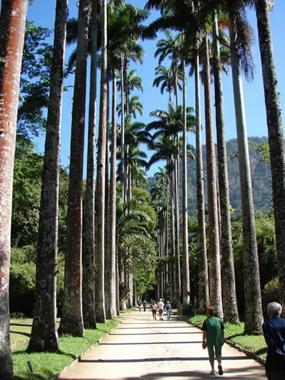 Jardim Botânico in Brazil — photo 2