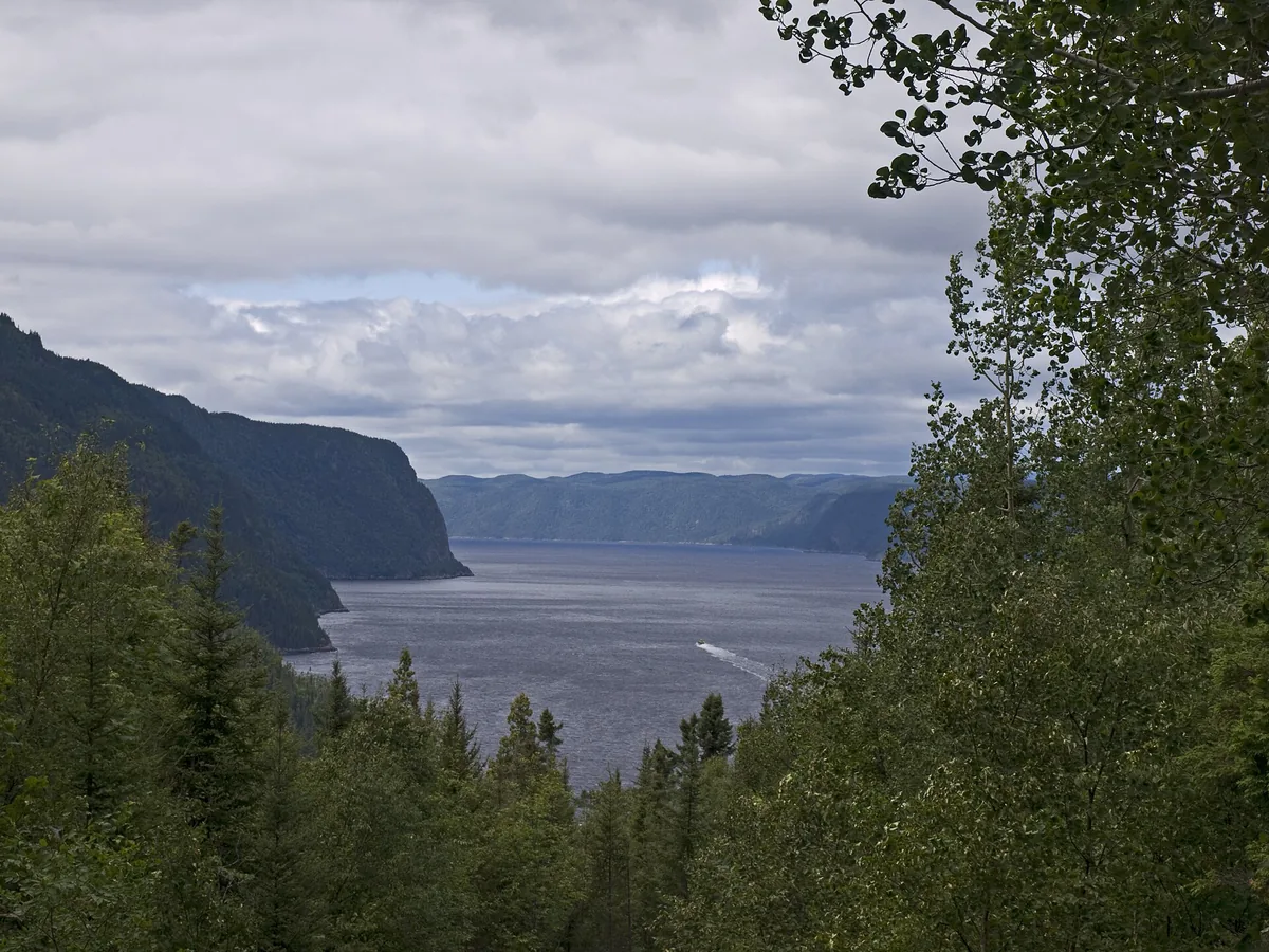 Saguenay–St. Lawrence Marine Park