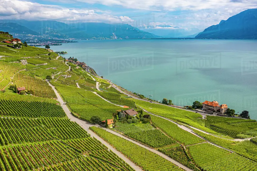 Lavaux Vineyard Terraces in Switzerland — photo 2