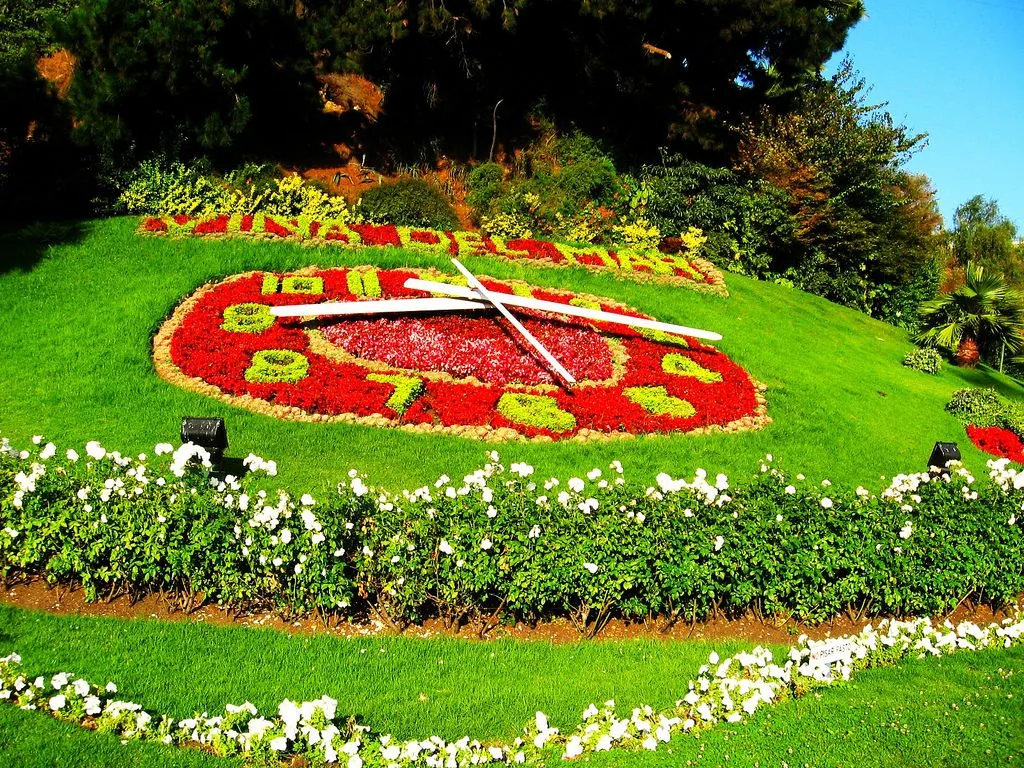 Flower Clock (Reloj de Flores)