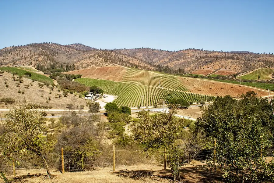 Matetic Vineyards in Chile — photo 2