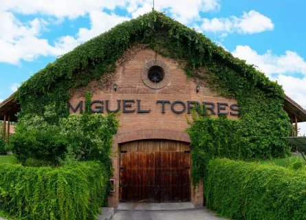 Miguel Torres Winery
