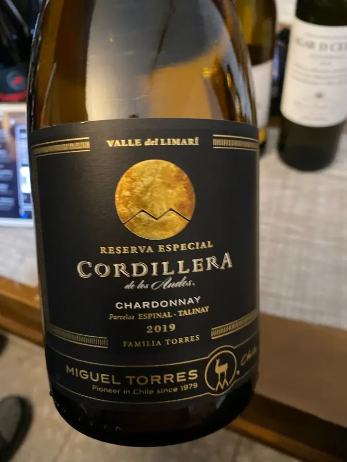 Miguel Torres Winery in Chile — photo 10