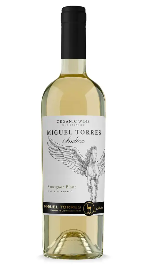 Miguel Torres Winery in Chile — photo 2