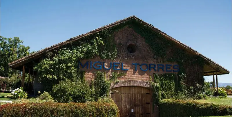Miguel Torres Winery in Chile — photo 3