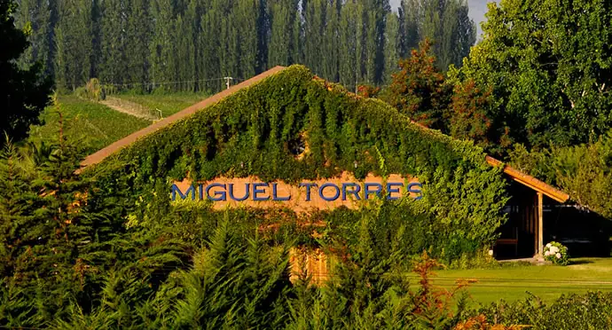 Miguel Torres Winery in Chile — photo 4