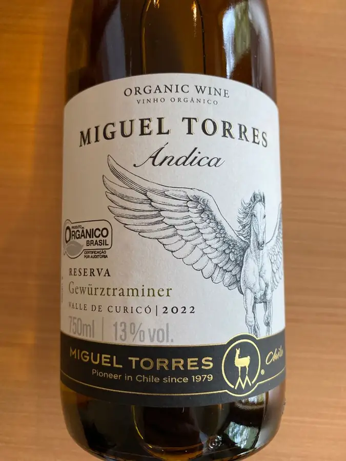 Miguel Torres Winery in Chile — photo 5