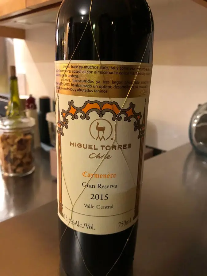 Miguel Torres Winery in Chile — photo 6