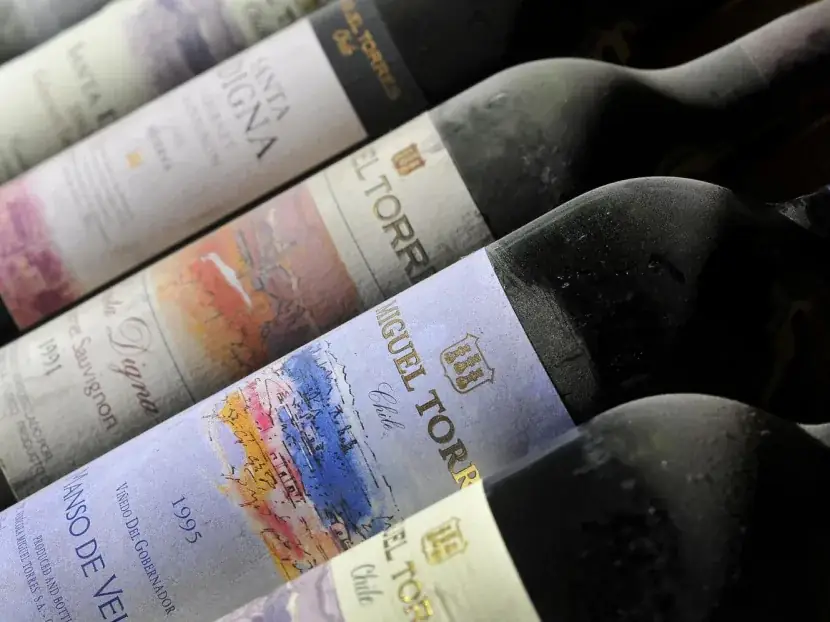 Miguel Torres Winery in Chile — photo 7