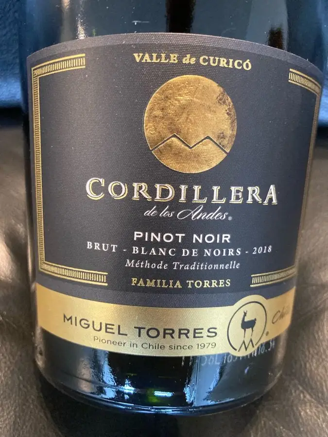 Miguel Torres Winery in Chile — photo 8