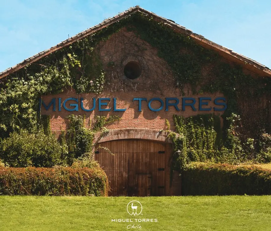 Miguel Torres Winery in Chile — photo 9