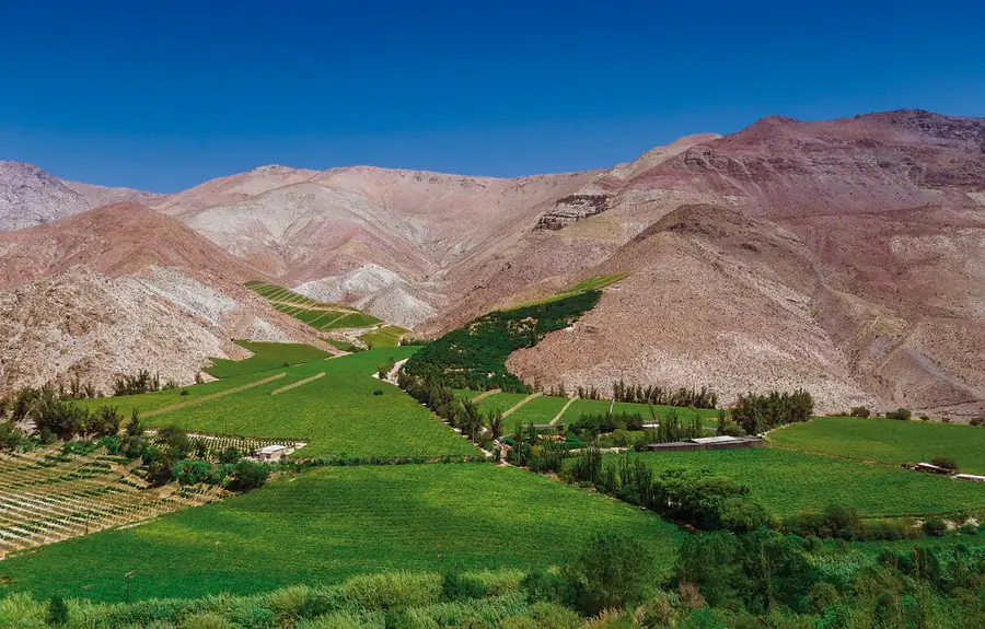 Pisco Elqui in Chile — photo 3
