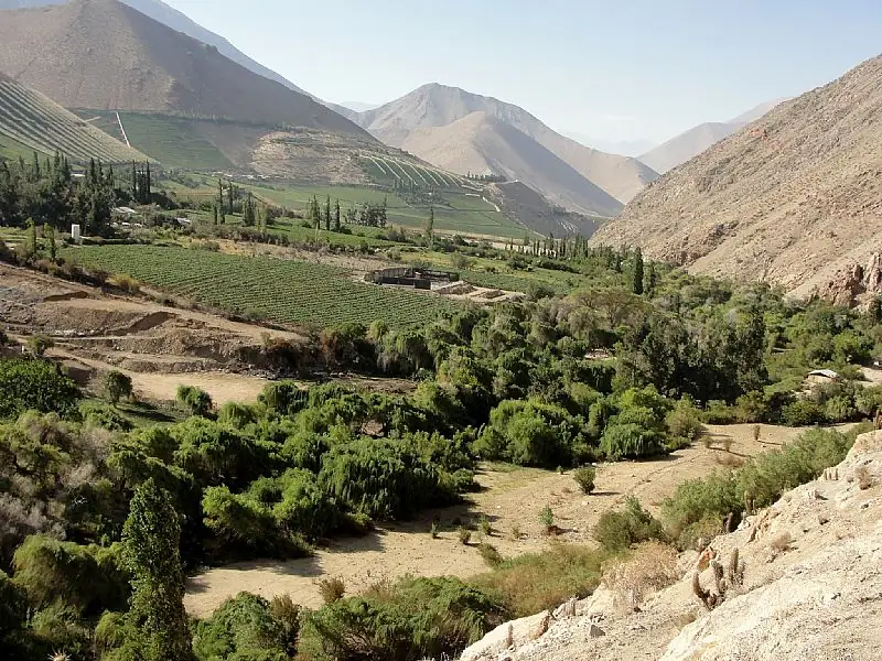 Pisco Elqui in Chile — photo 4