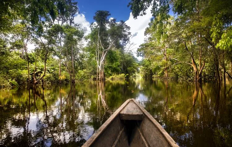 Amacayacu National Park