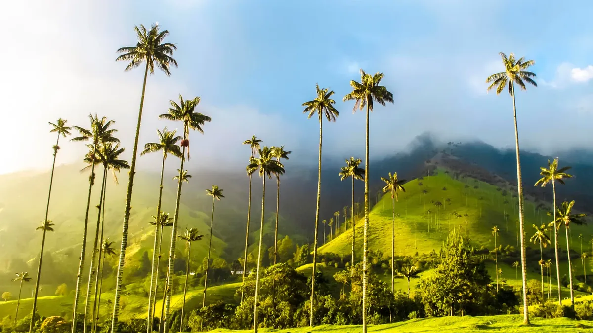 Valle de Cocora