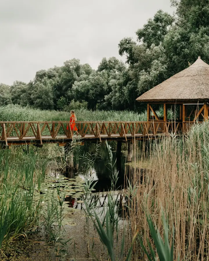Kopački Rit Nature Park