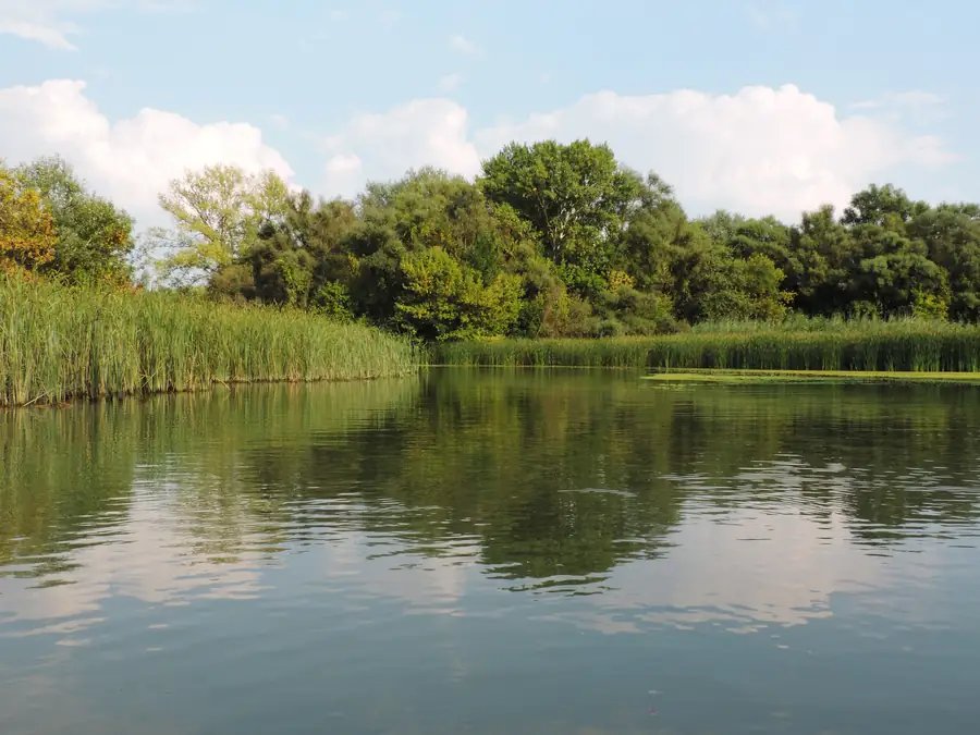 Hortobágy National Park in Hungary — photo 4